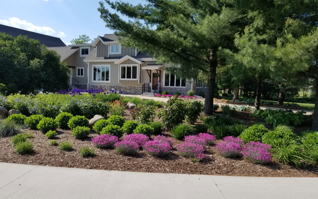 3 Landscaping Features That Improve Home Value