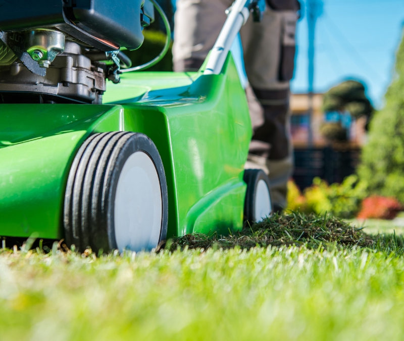 Four Must-have Tools for Lawncare