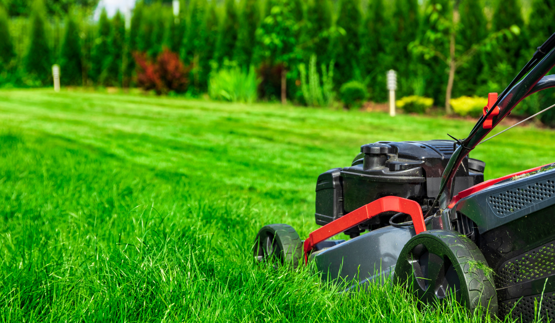 Mowing Tips for a Better Lawn