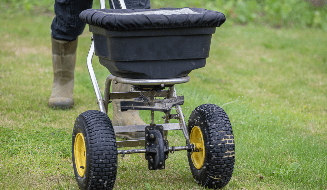 seeding your Wisconsin lawn
