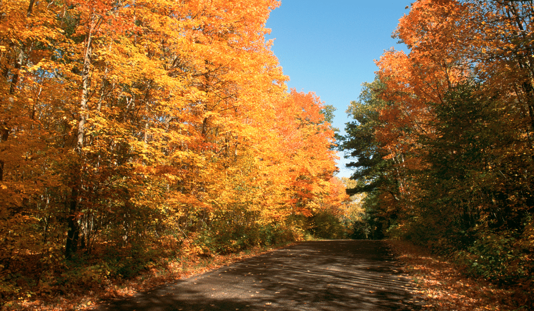 Three Fun Ways to See the Autumn Leaves in Wisconsin