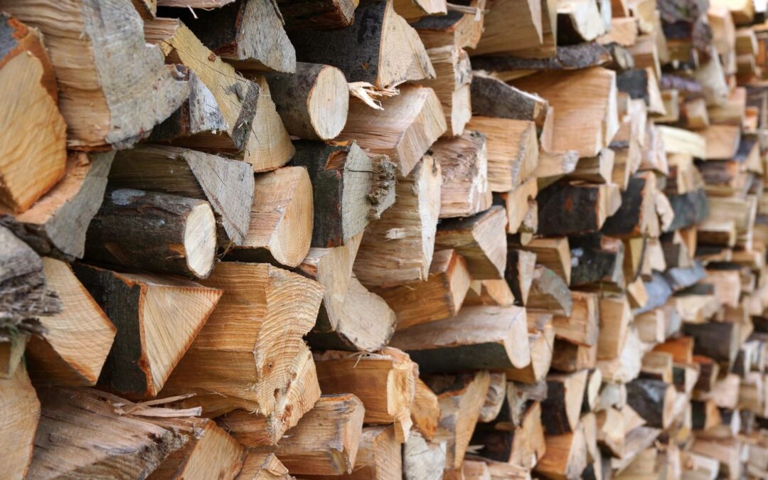 Best Firewood to Burn in Your Wisconsin Firepit