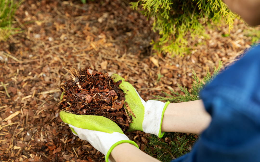 Benefits of Mulch in Your Wisconsin Flowerbeds